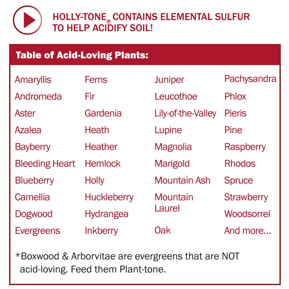 Espoma Holly-tone Organic Granules Plant Food 4 lb