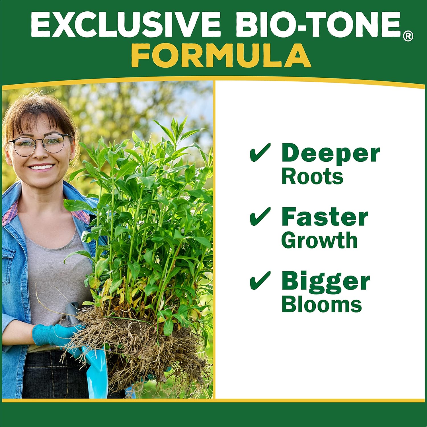 Espoma Plant-tone Organic Granules Plant Food 4 lb